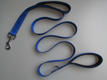 Pet Double Handle Pull Leash (Color: Blue)